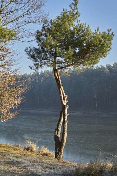 191211  (111) SONY .jpg